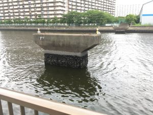 IMG_4607